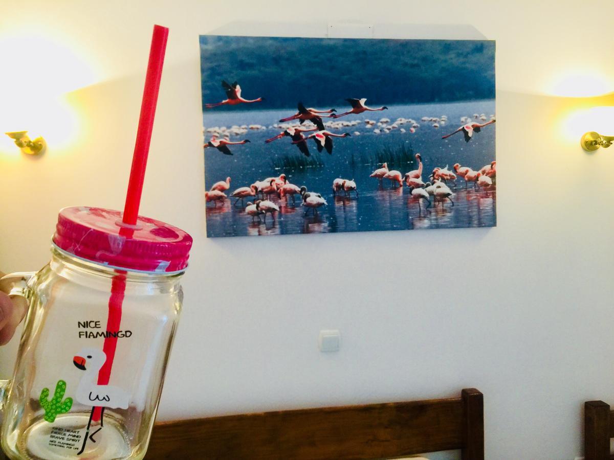 Apartments Flamingo Улцинь Экстерьер фото